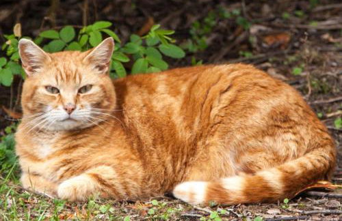 Lower Buckton Country House - Sleeps 12 - Foto 61