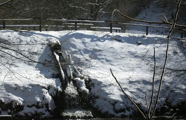 Chalet in Reinskopf With Fireplace & Balcony - Photo 27
