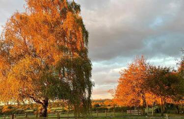 The Old Tractor Shed Luxury Private Hot Tub & View - Foto 63
