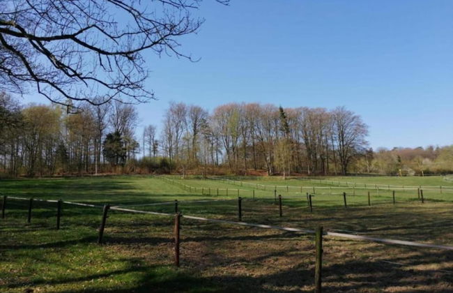 Chalet Near Durbuy With Private Garden - Photo 33