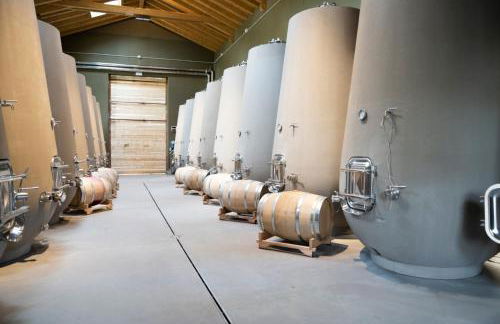 Tenuta Della Casa Wine & Rooms - La Pausa del Collio - Photo 34