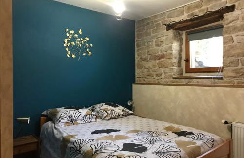 Ch'ti NID au pays des lacs - Foto 1