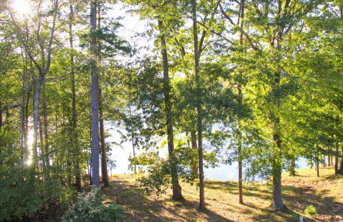Lakefront Home with Private Boat Dock on Lake Lanier - Photo 33