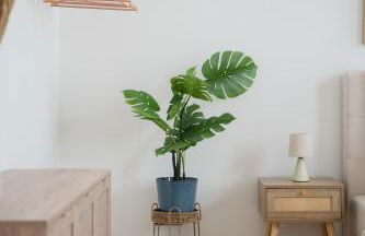 Hamburg City Apartment auf 120qm mit Billardtisch für bis zu 9 Gäste - Foto 23