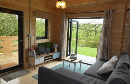 Pound Farm Holidays - Orchard Lodge - Photo 6