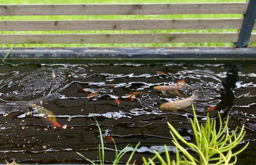 Tropisches Loft mit privatem Garten - Photo 2