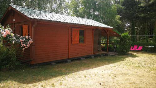 domki domek na jeziorem Wilczyńskim Budzisławskim , las, osobno ogrodzony 2-6 osób- klimatyzacja, ogrzewanie, 62-550 Zygmuntowo gm Wilczyn - Foto 2, Garden