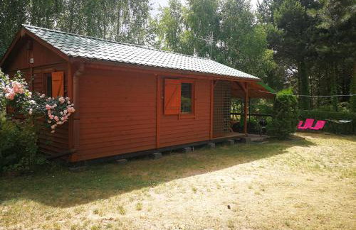 domki domek na jeziorem Wilczyńskim Budzisławskim , las, osobno ogrodzony 2-6 osób- klimatyzacja, ogrzewanie, 62-550 Zygmuntowo gm Wilczyn - Foto 2