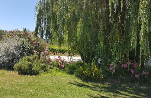 Gite Les Lavandes - Photo 42