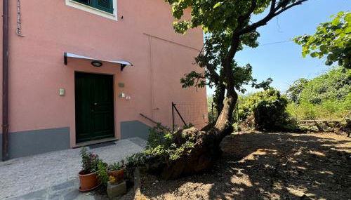 Ca' dii Bürsa - HOMY 5 TERRE - Foto 2, Garden, Garden view