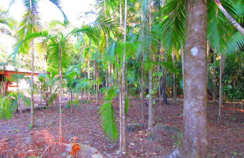 Refúgio dos Valdenses - Photo 39