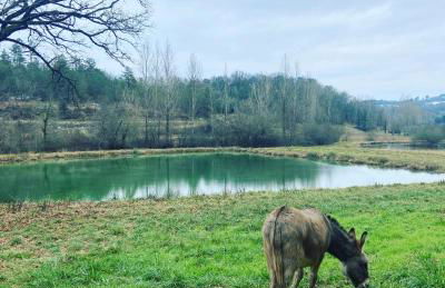 Le bon chemin Studio Stockholm - Foto 23