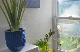 Ana Maria del Corona - Foto 16