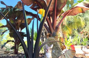 Appartement charmant à La Cadière-d'Azur, 68 m², jacuzzi - Foto 10