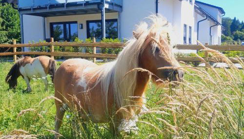 Ferienhof Rörig-Plenz - Foto 3