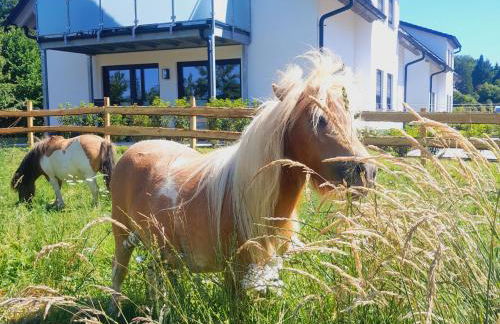 Ferienhof Rörig-Plenz - Photo 3