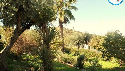 Casa das 3 Palmeiras - Foto 2, Garden