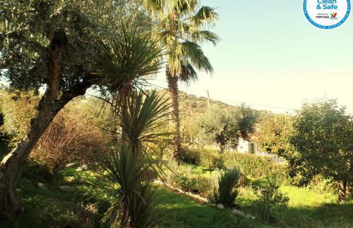 Casa das 3 Palmeiras - Foto 2