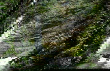 Santo Domingo Waterfall Tour - Photo 4