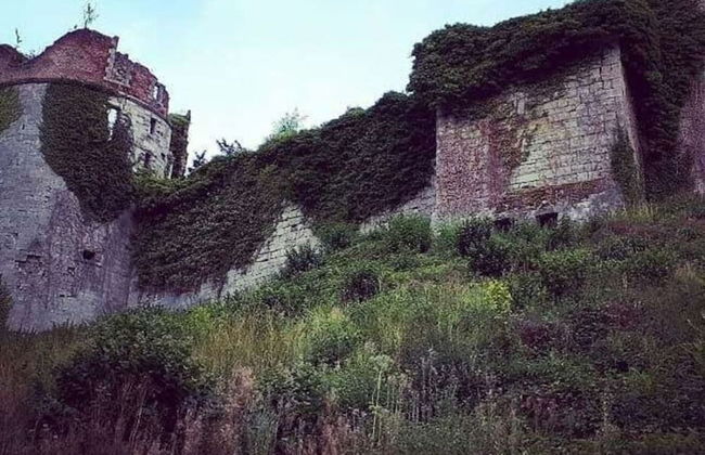 Spacious Holiday Home in Doische With Private Pool - Foto 48