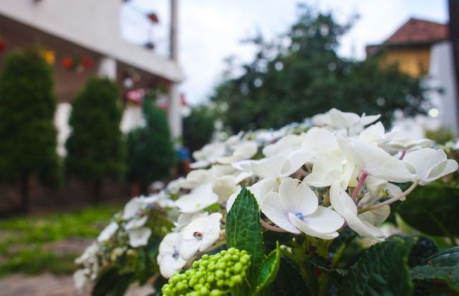 Villa Cristiani - Foto 34