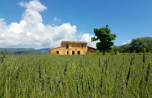 le bastidon - Foto 29