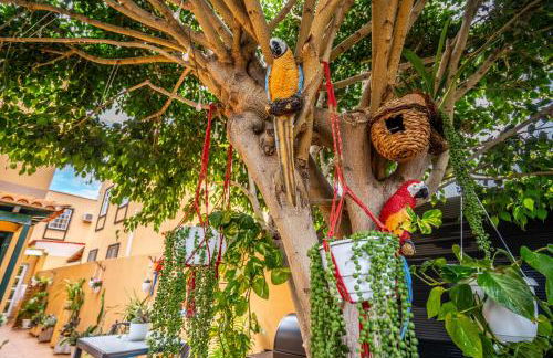 Ke Casetta Tenerife Salvador and Santiago apartments - Foto 58