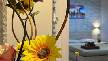 CAMARDA SUITE - Foto 5