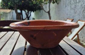 Papoila - Foto 8