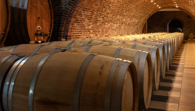Visita a las bodegas Alfredo Santamaría