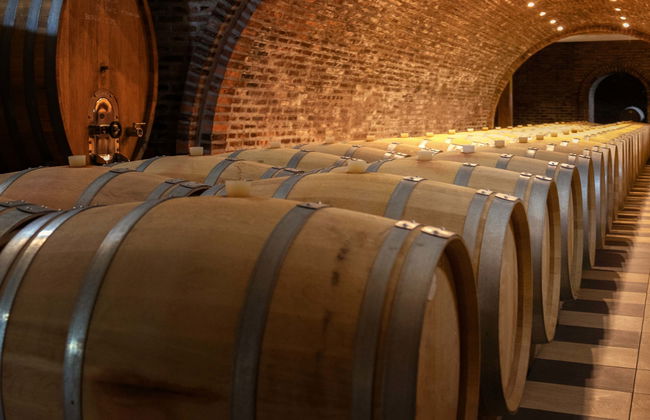 Visita a las bodegas Alfredo Santamaría - Foto 5