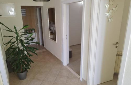 Apartments with parking space Buici, Dubrovnik - 24565 - Foto 12