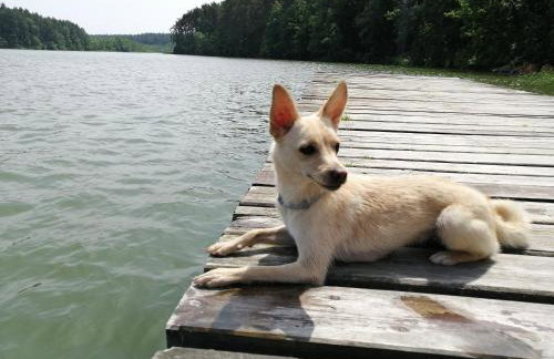 Agroturystyka TWÓJ KĄCIK - Foto 33