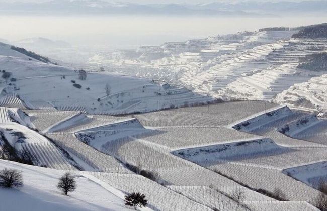 Savoir Vivre Modern Retreat - Foto 28