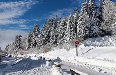 Les Arolles E23, classé 3 étoiles à Chamrousse 1700 - Foto 16