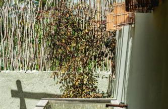 MaLu Bangalôs - Foto 43