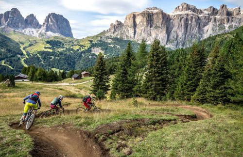 Dolomiti Luxury Mountain View SKI-IN SKI-OUT - Foto 49