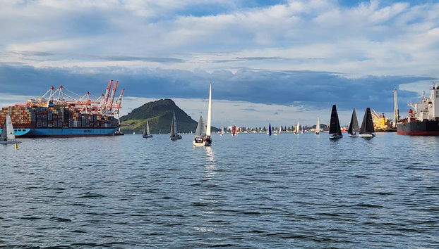 Navegando pelas águas de Tauranga