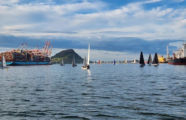 Paseo en barco por Tauranga - Foto 2