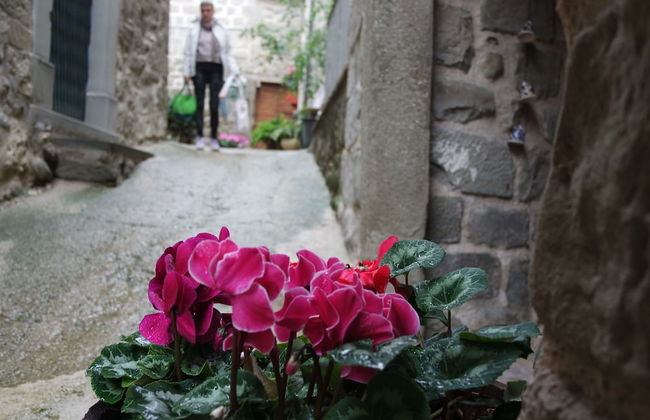 Agriturismo Arcera - Foto 33