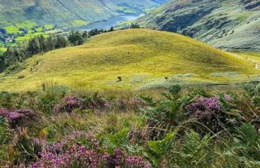 Jack's House - Foto 57