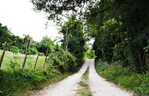 Fattoria Bio L'A Ceccoli - Foto 28