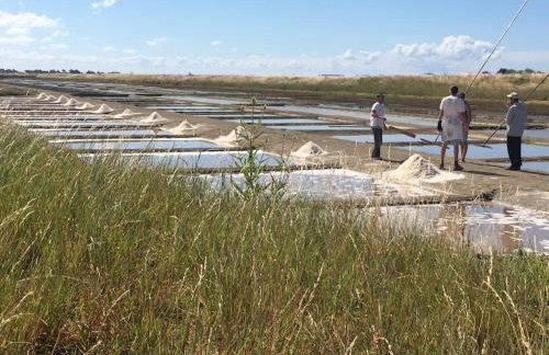 Maison rétaise au cœur du village d'Ars en ré - Foto 60
