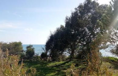 Casa Vacanze Giorgia - Foto 22