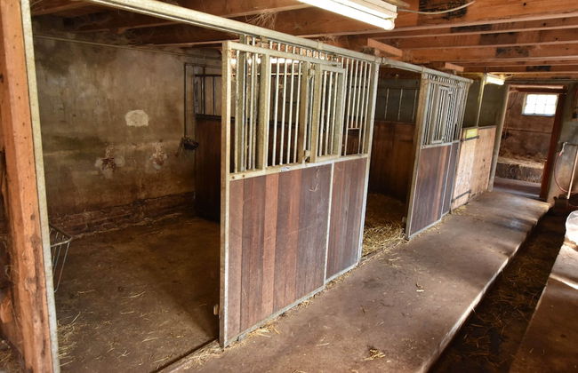 Holiday Home in Workum on a Farm - Photo 19