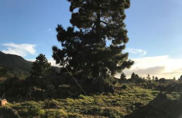 Casa Casilda - Foto 25