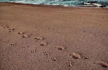 Beach house Estrela do Mar - Foto 58