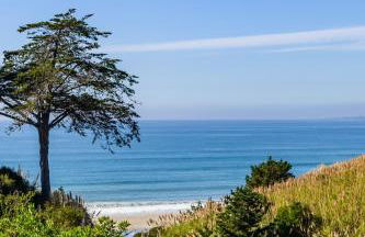 Premium Villa - Ocean View - SEASCAPE - Heated 80 Degree Pools - Relaxing Fireplace - Ground Level - Foto 16