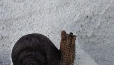 Casa da Avó Rita - Foto 3