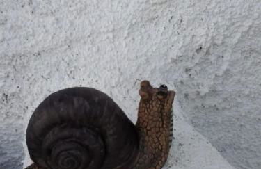 Casa da Avó Rita - Foto 3